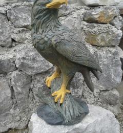 okrasni-slemenjak-016-5